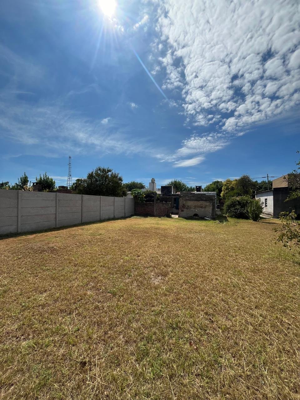 WhatsApp Image 2025-02-28 at 17.01.42 (1)