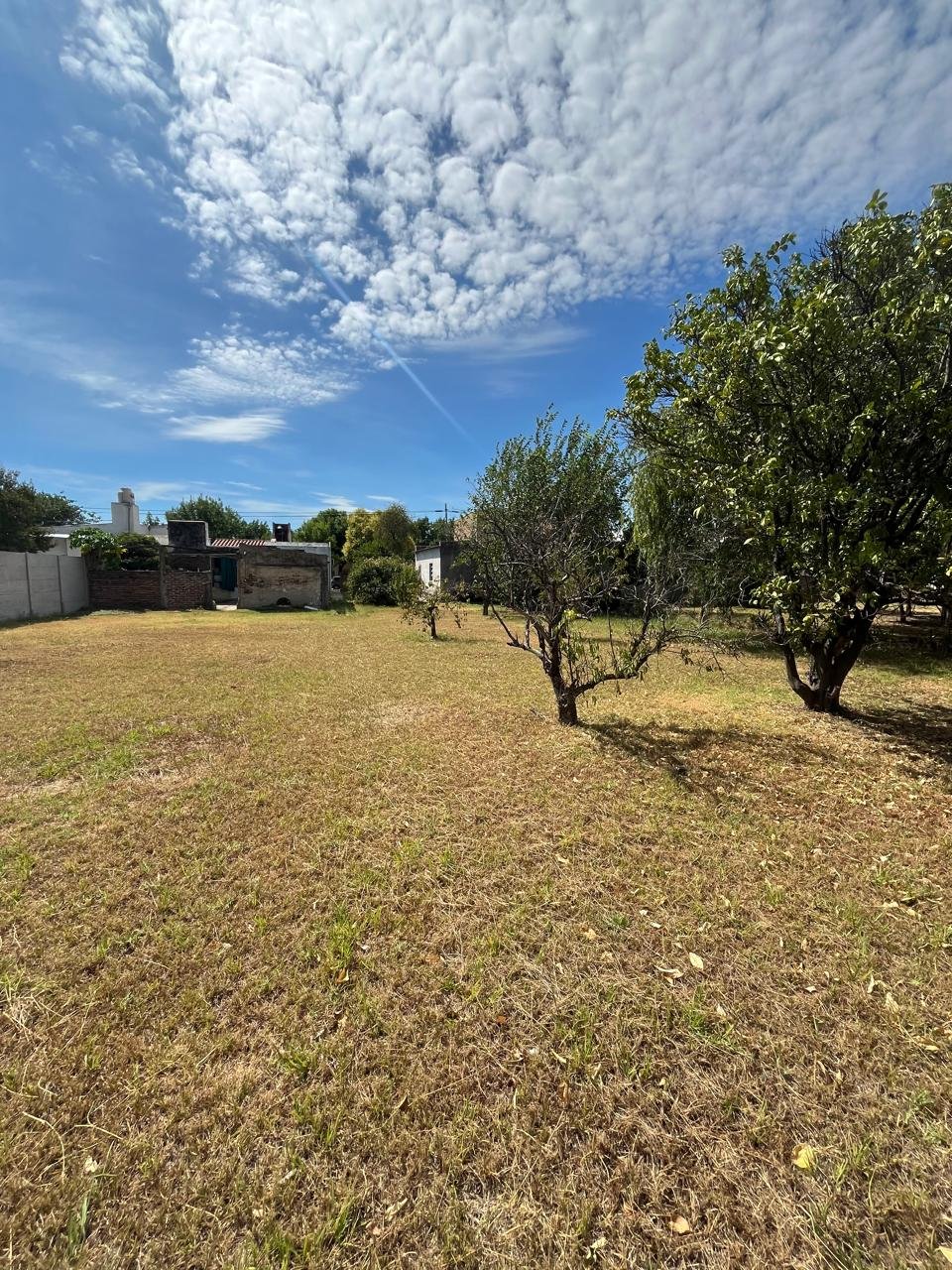 WhatsApp Image 2025-02-28 at 17.01.42