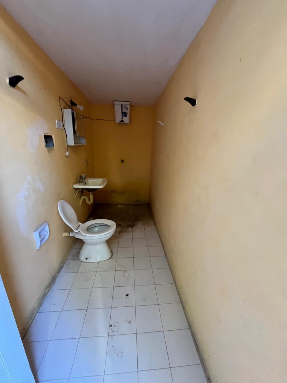 WhatsApp Image 2026-02-09 at 17.53.30