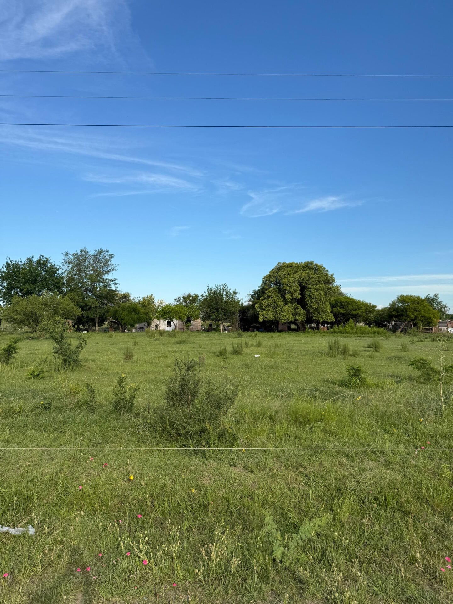 WhatsApp Image 2026-01-08 at 08.59.23