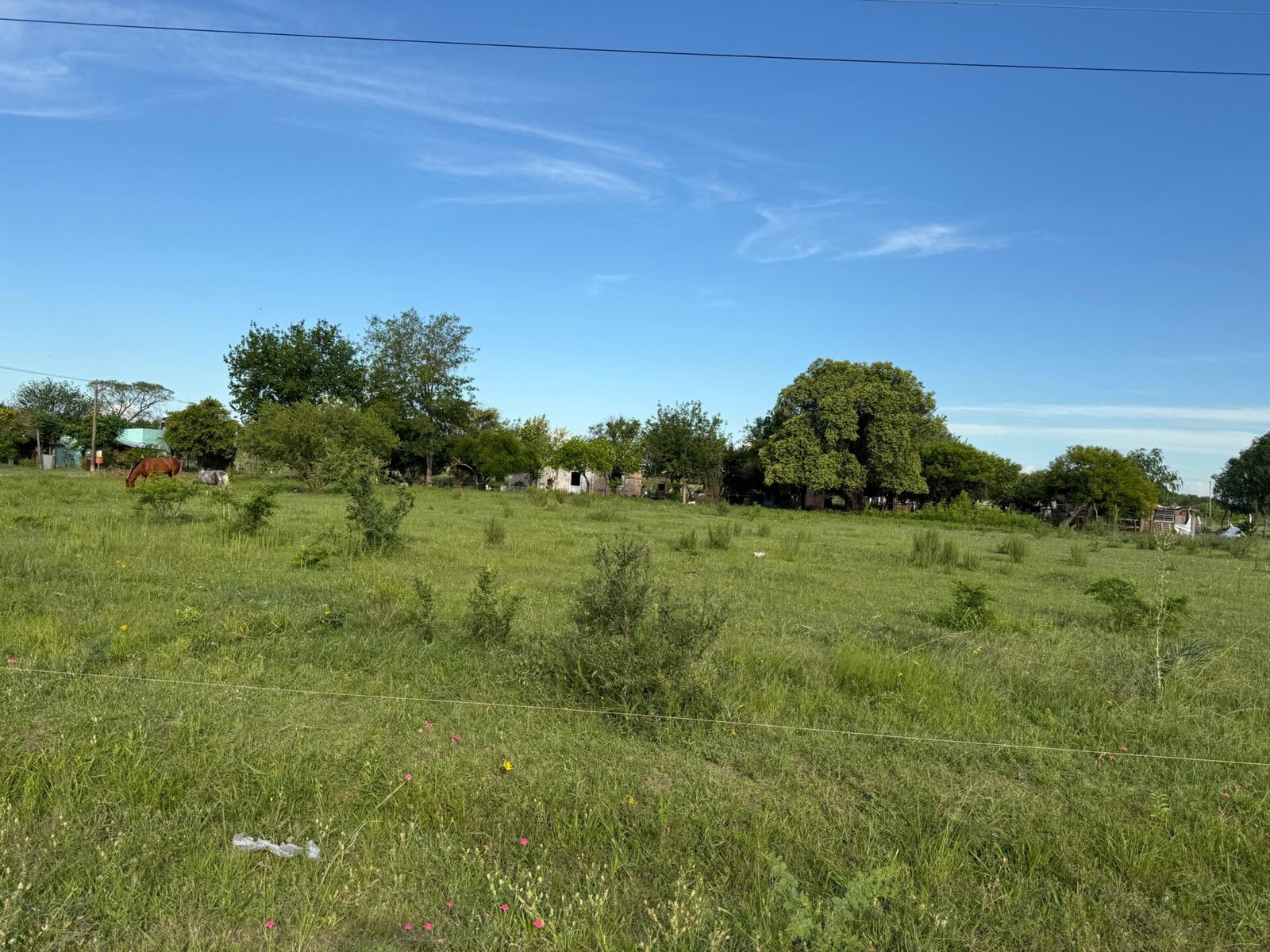 WhatsApp Image 2026-01-08 at 08.59.25