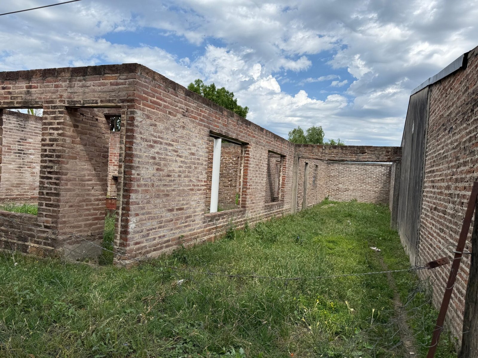 WhatsApp Image 2026-01-08 at 08.59.44