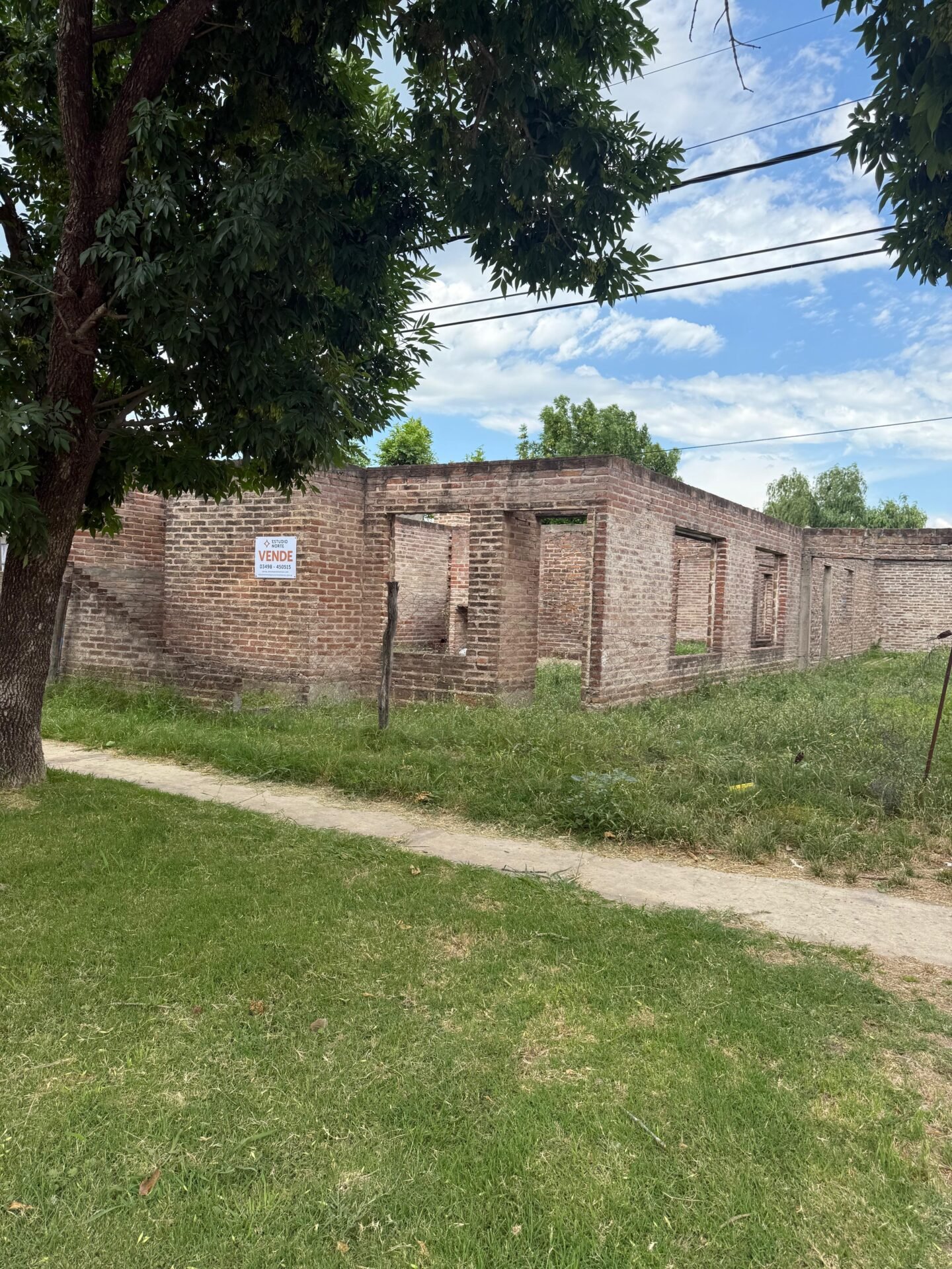 WhatsApp Image 2026-01-08 at 08.59.45